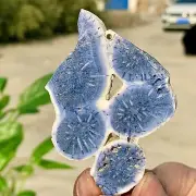 33G Natural Blue Coral Reef Cluster Marine Mineral Crystal Specimen