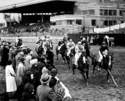 Horse Racing Mange Tout and Snake Lightning lead the field past th- Old Photo