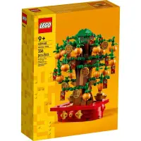 在飛比找蝦皮購物優惠-請先看內文 LEGO 樂高 40648 搖錢樹 Money 