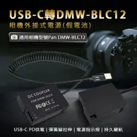 在飛比找e-Payless百利市購物中心優惠-Panasonic DMW-BLC12 假電池 (Type-