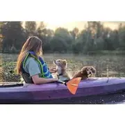 Save 10.00%! Xochimilco Sunrise Tour: Kayak at the Magic Morning Light