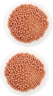 BCOATH 2bags Potted Ceramsite and Decorative for Indoor Plants Terracotta Granules for and Cactus