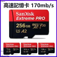 在飛比找露天拍賣優惠-臺灣公司貨 SanDisk 高速記憶卡 1TB 512G m