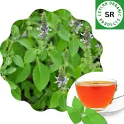 Dried Tulsi leaf Powder Organic Holy Basil Ocimum sanctum Herb immunity booster