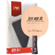 DHS PG-8 Ping Pong Table Tennis Blade Racket 5-Ply All-Wood Blade Fl Handle