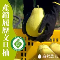 在飛比找PChome24h購物優惠-【麻營農夫】麻豆文旦柚10台斤x2箱(產銷履歷)