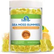 Irish Sea Moss Gummies Plus Organic Bladderwrack and Burdock Root. Vegan