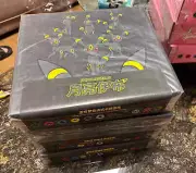 Pokemon Chinese Version Exclusive "Eevee GX Gift Box" Set Umbreon Box Card Game