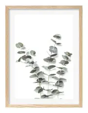 [Profile Australia] Australian Made Eucalyptus Foliage Art Print A1 Frame in Natural