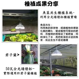 【君沛國際】植物夾燈 全光譜 LED 50瓦 夾式 植物生長燈 台灣製造 保固二年