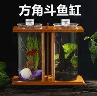 在飛比找樂天市場購物網優惠-鬥魚缸超白玻璃雙缸迷你創意小型隔離生態魚缸小魚微景觀生態瓶