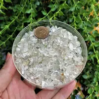 在飛比找蝦皮購物優惠-[友克鑫]100g天然水晶碎石 紫水晶 白水晶 粉晶 巴西黃