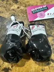 Fighting Pretty Mini BOXING GLOVES 3.5 Inch New Hang From Car Mirror Black