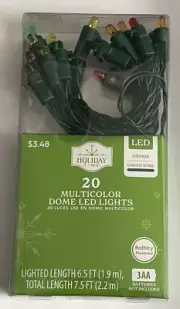 Holiday Time Multi Dome LED 20 Light String ~ Battery Op w/ Timer Green Wire NEW