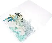 Cabilock DIY Dried Flower Craft Kit Handmade Material for Unique Decorations for Home Parties Seasonal Variations Included Vibrant Natural Beauty