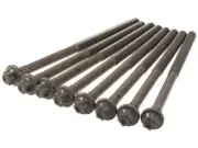Head Bolt Set For 15-21 BMW M2 M3 M4 Base PP82T5 (for: BMW)
