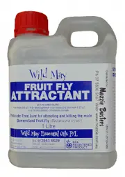 Wild May Fruit Fly Attractant Tree -