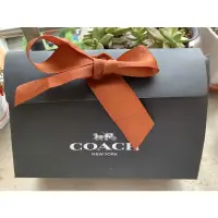 在飛比找蝦皮購物優惠-coach 小馬車🐎亮片刺繡，腋下包或手拿鏈包