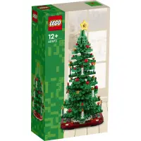 在飛比找蝦皮購物優惠-[飛米樂高積木磚賣店] LEGO 40573 holiday