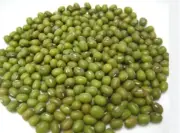 Organic dried MUNG Beans 'Green Gram' 'Moong' non-GMO-Free Shipping 100g