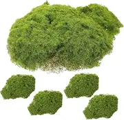 COOPHYA 5pcs Realistic Artificial Moss Blocks Decorative Micro Landscape Accessories for and DIY Projects Vivid Faux Mossy Rocks for Creative Decor and Landscaping