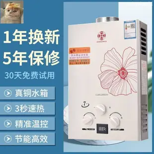 【台灣質保】熱水器 【熱賣中】燃氣熱水器家用瓶裝煤氣液化氣12升天然氣熱水器免水壓