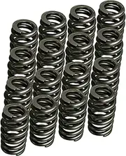Vanlison 1218 Drop-In Valve Springs, 16 Pack Beehive Springs Set 1200 Series Compatible with LS Series Engines LS1 LS2 LS3 LS6 LQ4 LQ9 Engines 600" Lift Rated 4.8L 5.3L 5.7L 6.0L 6.2L