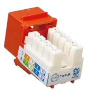 Ethernet Cat6 Jack Orange Available UL Listed Cat6 - 100 Pack