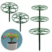 Rack Plant Cage Frame Climbing Frame Climbing Vine Rack Plant Support Stand