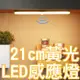 21cm智能暖黃燈 LED人體感應燈 磁吸燈 LED燈 小夜燈 露營燈