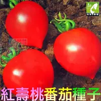 在飛比找蝦皮購物優惠-🍑㊣【我會發芽】紅壽桃蕃茄 番茄種子 西紅柿 聖女果 易栽好