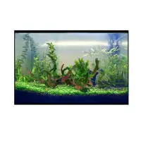 在飛比找momo購物網優惠-【水族造景飾品】假枯樹枝H7839(水族擺設、生態造景、草缸