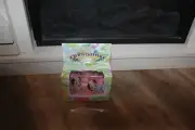 Sylvanian Families CALICO CRITTERS CLOVERLEAF Beagle dog twins NRFB