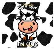 20oz Sublimation Tumbler Wrap Holy Cow I’m Cute Ready To Press Print