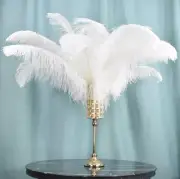 10pc Big White Ostrich Feathers Plume Home Centrepiece Wedding Decor Craft