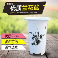 在飛比找樂天市場購物網優惠-家用PP塑料仿陶瓷蘭花花盆樹脂大號盆栽綠植透氣控根白蘭花盆