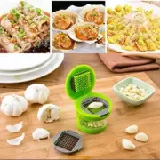 New Garlic Press Chopper Kitchen Tool Gadget Ginger Garlic Removable Container