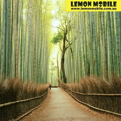 Lemon Mobile Asia 9-in-1 Travel SIM Card Unlimited Data Plan Multiple Countries