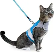 CAT SCHOOL Cat Harness and Leash Set for Outdoor Walks, Training, and Travel - Secure, Soft, Comfortable Cat Vest Harness with 10' Long Cat Leash - Easy to Use with Step-by-Step Instructions