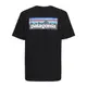 Patagonia P-6 Logo 短袖 短T Tee 基本款 山景 山脈 厚磅 環保 再生【高冠國際】