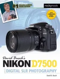 在飛比找博客來優惠-David Busch’s Nikon D7500 Guid