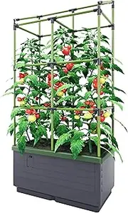 BioGreen Raised Garden Bed with Trellis CITY JUNGLE | 8.98 gal | 13“L x 24“W x 63.4“H | Integrated Irrigation System | Grey Self-Watering Planter Box