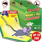 1-20PCS Mouse Traps Rat Mice Mouse Trap Board Snare Catcher Board Pad Board AU