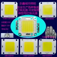 在飛比找樂天市場購物網優惠-LED集成燈珠光源50瓦3V6V9V12V30V36V投光燈