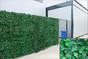 Ivy Hedge Large Ivy Artificial Screening Leaf Hedge Panels On Roll Privacy Garden Fence, Green, 2.0M X 3M