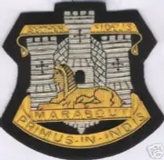 Britain UK English BEF Army England Devon Dorset Patch Regiment Semper Fidelis R
