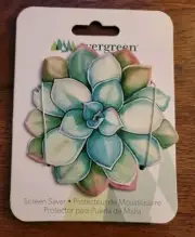 Evergreen Screen Saver • Succulent •Pack Of 2 (Q)