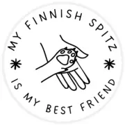 My Finnish Spitz is My Best Friend - 10 Pack Circle Stickers 3 Inch - Dog Pet
