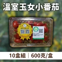 在飛比找台灣好農優惠-胖果農場 溫室玉女小番茄600克*10盒