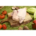 台東鹿野土雞1.5~1.8公斤(母雞)